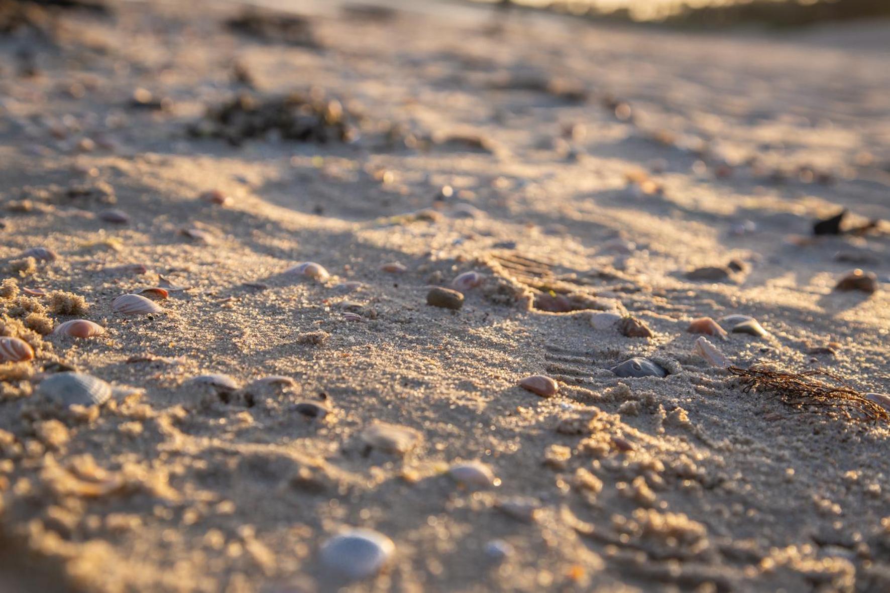 Wohnen Am Suedstrand - Ferienwohnung 0 4 Wyk auf Föhr Eksteriør bilde